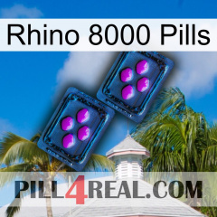 Rhino 8000 Pills 03